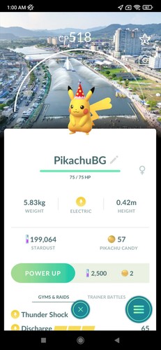 Pikachu party hat soak - pikachu,