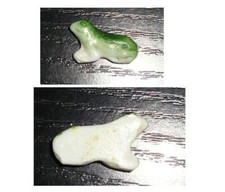 Fève ancienne Grenouille verte