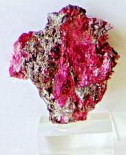 CEeb1, 20g, Erythrine, Bou