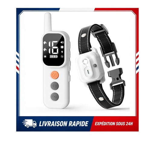 Collier dressage chien - collier, de