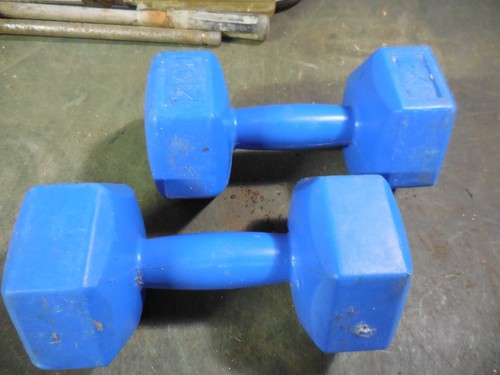 Lot haltères 2kg chaque - haltères, de