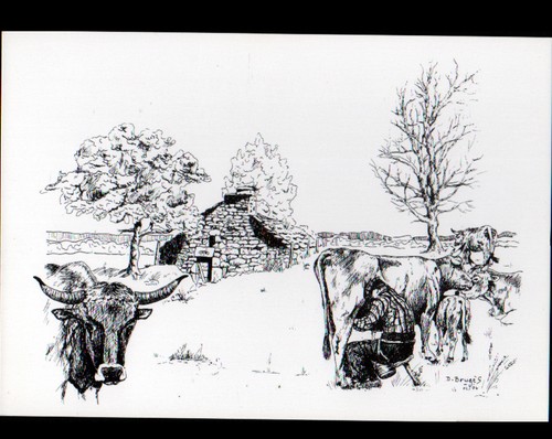 Vigouroux prés pierrefort - prés, de