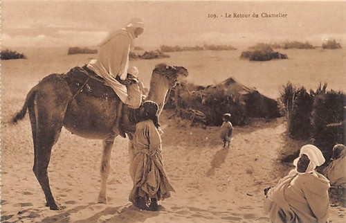 Tunisie retour du - le,
