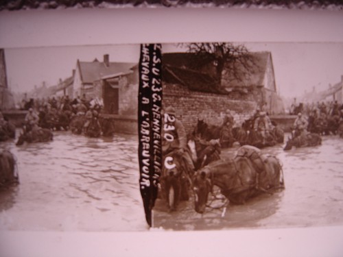 Guerre wwi ww1 - 14,