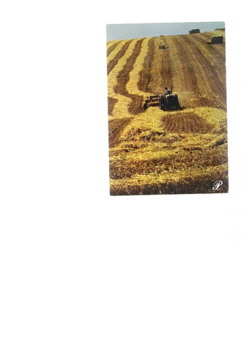 Carte postale moisson du - carte,