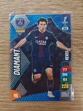 CARTE PANINI ADRENALYN XL