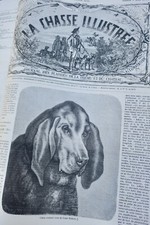 Chasse illustrée journal - illustrée,
