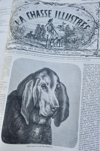 Chasse illustrée journal - chasse,