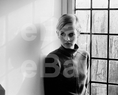 Photo twiggy 10x8 - twiggy,