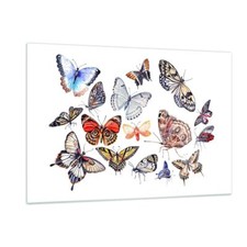 Impression sur Verre 120x80cm