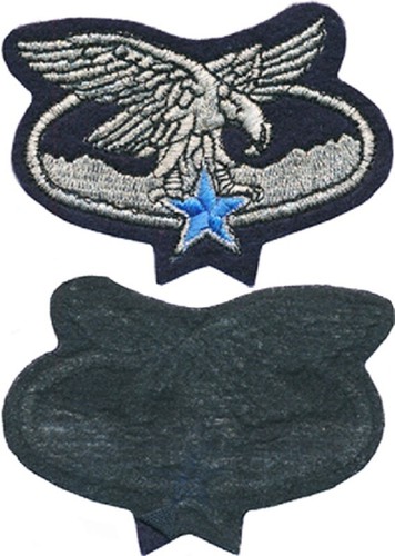 Insigne spécialité - insigne, de
