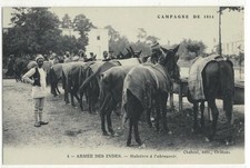 Militaria armée des - indes,