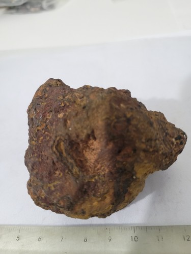Météorite chondrite 160 - chondrite,