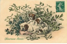 M.M VIENNE  M. MUNK  BOULEDOGUE anglais