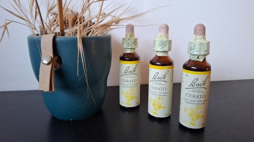 Lot fleurs bach cerato - lot, de