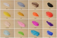 Qualité Autruche Plume