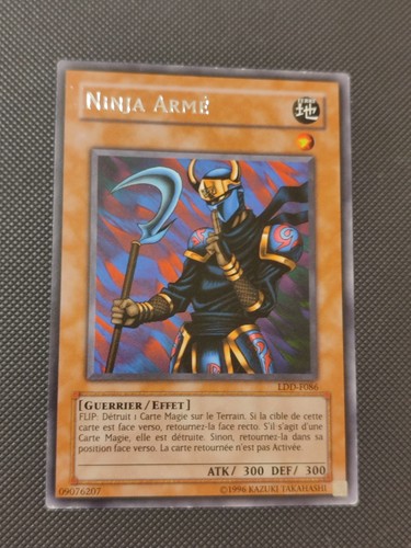 Ninja armé ldd - ninja,