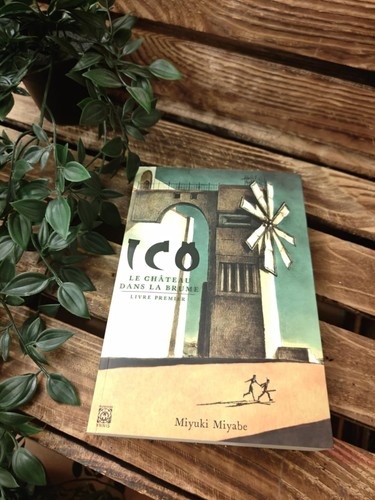 Livre ico château dans - :,