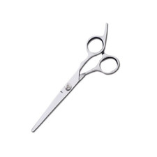 Ciseaux De Coupe De Cheveux De Coiffure Professionnels, Salon De Coiffure, Outil