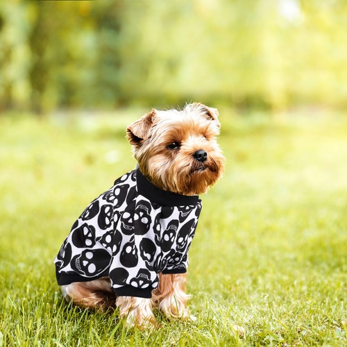 Vêtements pour chien habit - vêtements,