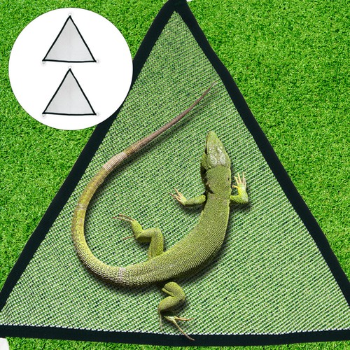 2pcs dragon barbu - 2pcs,