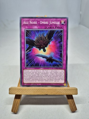 Carte aile noire - aile,