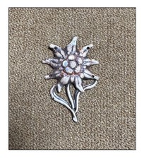 ww2 Edelweiss Gebirgsjäger GJ