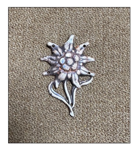 Ww2 edelweiss gebirgsjäger - ww2, gj