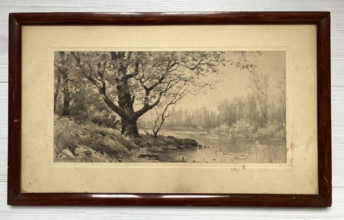 Paysage arbre forêt barizon - arbre,