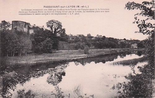 Passavant sur layon - 49, chateau