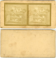 Stéréo, H.P. scène artistique d'un garde-manger vintage albumen stereo card