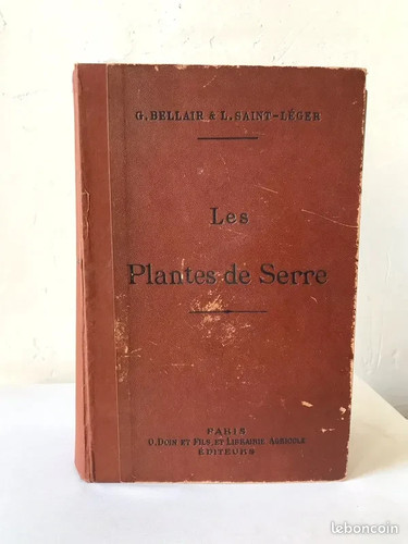 1900 les plantes serre - 1900,