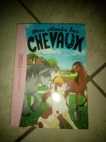 Livre mes amis - livre, la