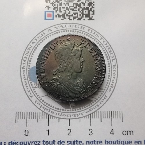 Louis xiv demi - louis,