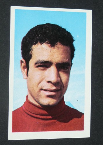 172 kabli kala maroc lions - #172,