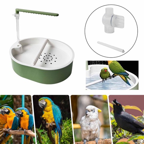 Baignoire pour perroquet avec