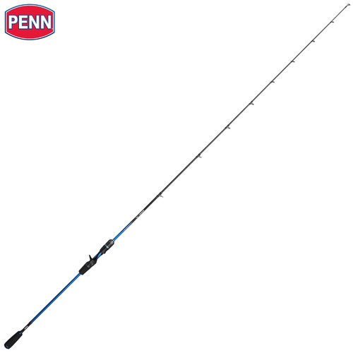 Canne lancer appâts penn - d'appâts,