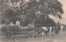 88 ENVIRONS EPINAL ATTELAGE