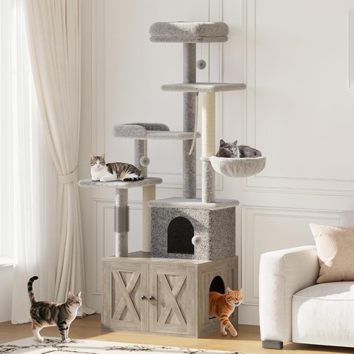 Condos modernes pour - , chats