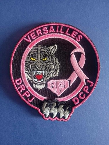Police nationale ecusson bri - nationale,