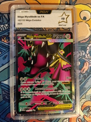 Pca pokemon - 🇨🇵, 10