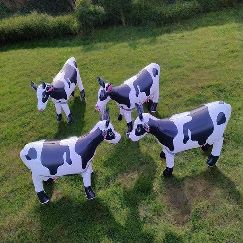 Animal gonflable cow - animal,