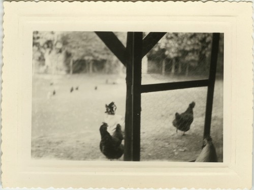 Photo ancienne vintage - -,