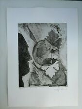 Rino Furlan (Bassano Del