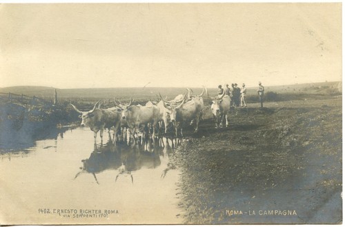 Postcard carte postale - postcard,