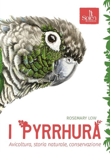 Rosemary low pyrrhura - low, i