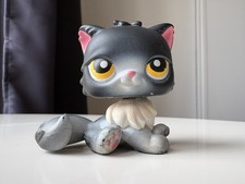 Petshop chat persan n°435 de