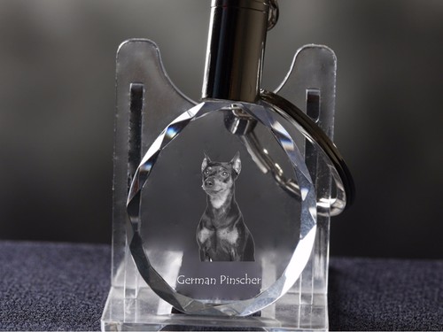 Pinscher allemand porte - pinscher, allemand,