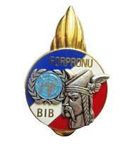 INSIGNE INFANTERIE LE 92° RI