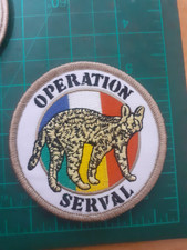 Legion Etrangere 1º REC